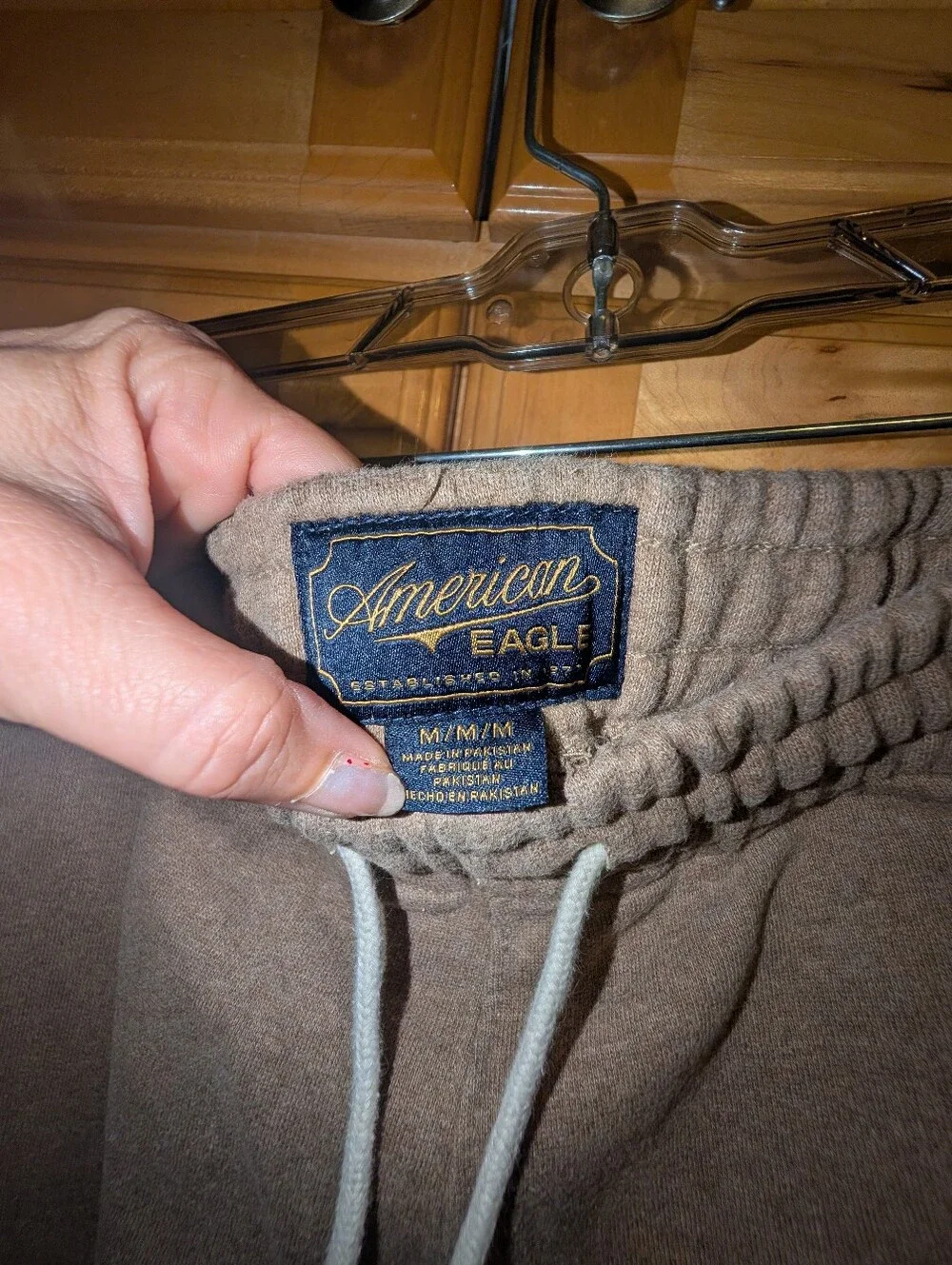 American Eagle Outfitters Men's Jogger Pants in Taupe